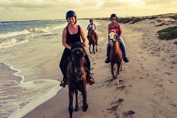 Horse Riding in Sal Island - Cabo Verde - FAQ