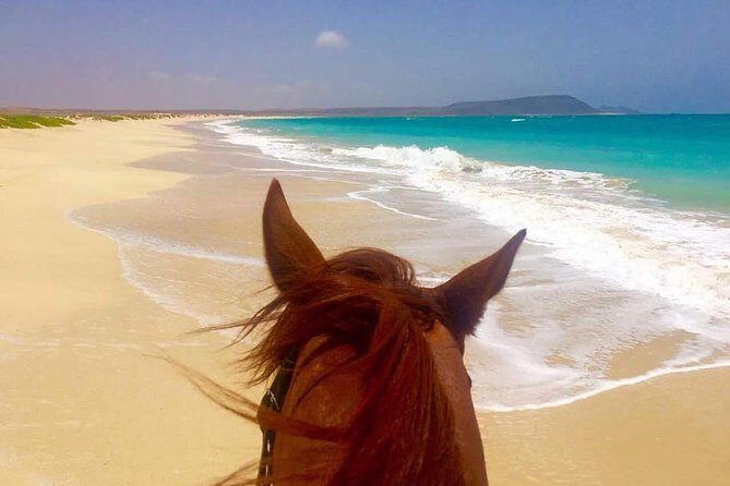 Horse Riding in Sal Island - Cabo Verde - Final Thoughts