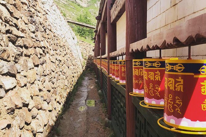 Horse riding in Terelj National Park - Key Points  