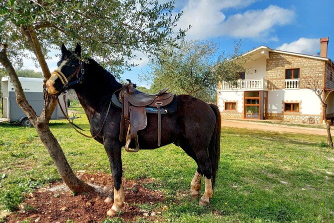 horse-riding-in-the-gargano-national-park