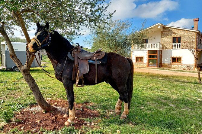 horse-riding-in-the-gargano-national-park