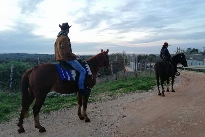 horse-riding-in-the-gargano-national-park