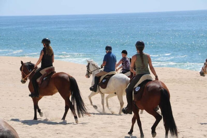 Horse riding in the Valley, near Lisbon, brunch and winnery - Horse Riding in the Valley, Near Lisbon, Brunch and Winery