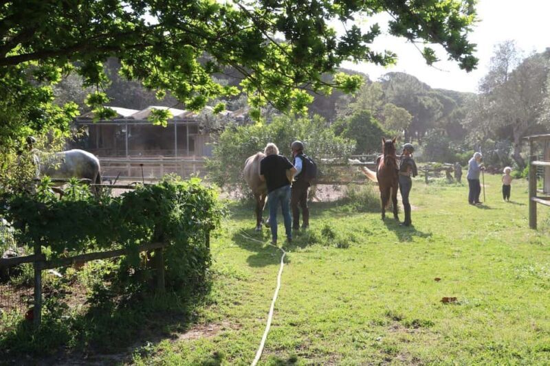 Horse riding in the Valley, near Lisbon, brunch and winnery - Key Points