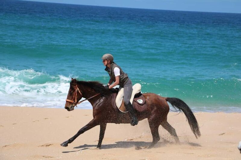 Horse riding in the Valley, near Lisbon, brunch and winnery - The Sum Up
