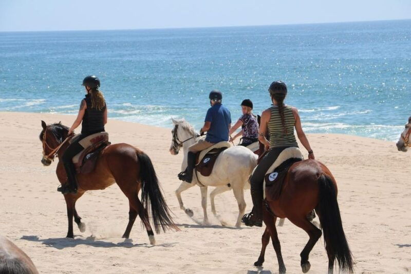 horse-riding-in-the-valley-near-lisbon