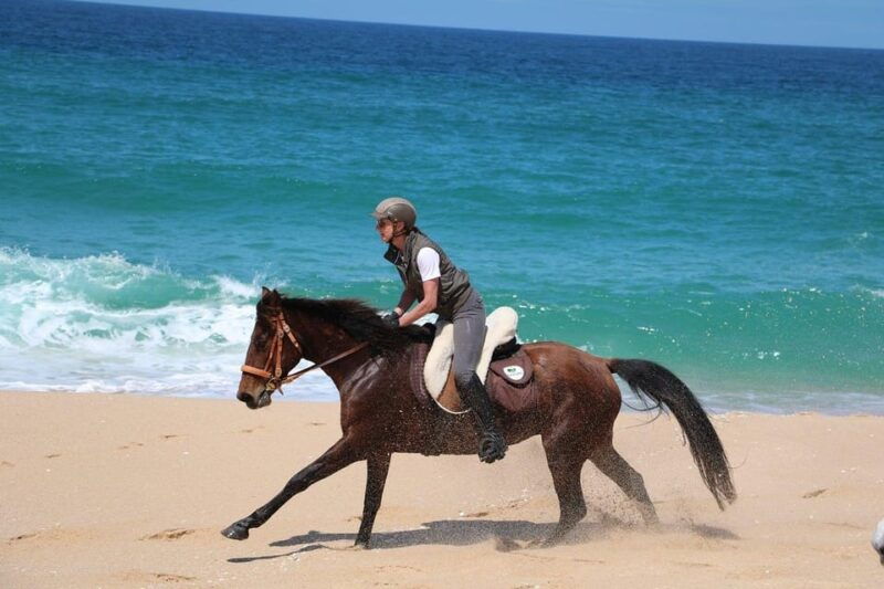 horse-riding-in-the-valley-near-lisbon