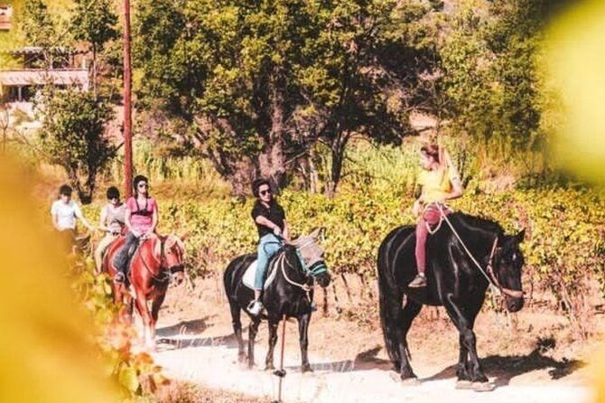 horse-riding-in-the-vineyards-of-grimaud-wine-tasting