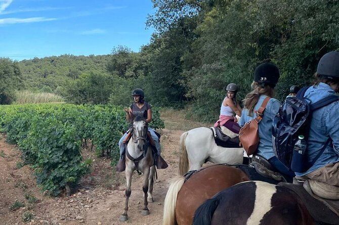 horse-riding-in-the-vineyards-of-grimaud-wine-tasting