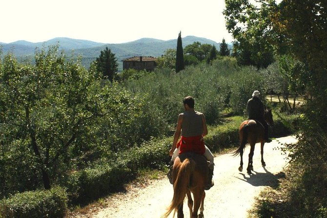 horse-riding-in-tuscany-for-experienced-riders-full-day-trail-ride-2