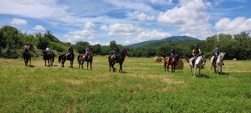 Horse Riding in Tuscany for Experienced Riders: Full-day Trail Ride - Exploring Tuscany on Horseback: What to Expect