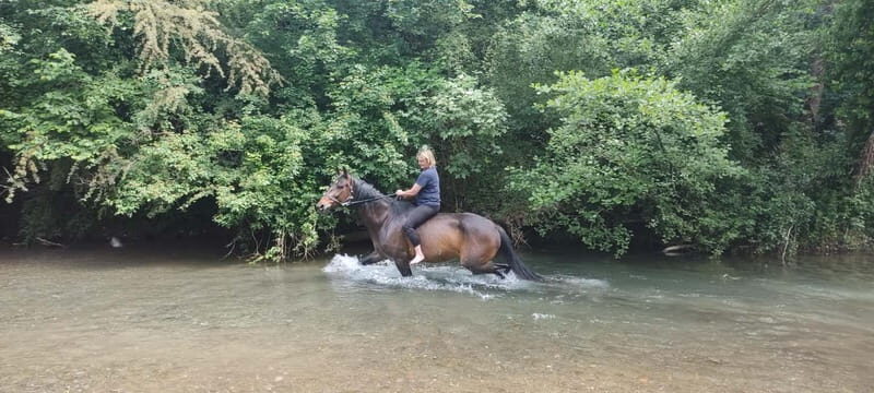 Horse Riding in Tuscany for Experienced Riders: Full-day Trail Ride - Is It Right for You?