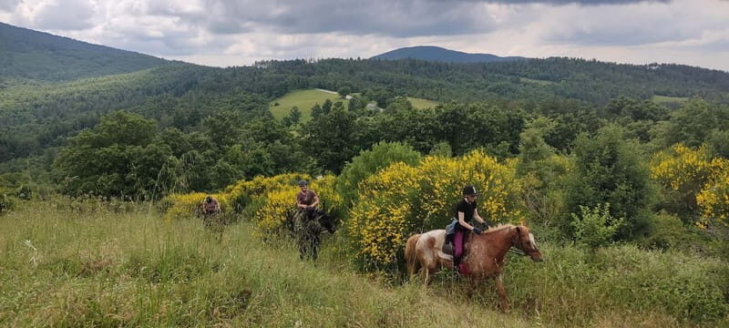 Horse Riding in Tuscany for Experienced Riders: Full-day Trail Ride - FAQs