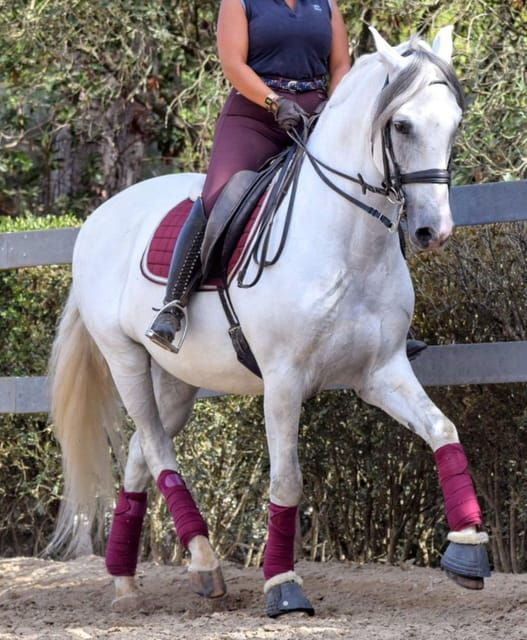 horse-riding-lesson-lunch-regional-wine-tasting