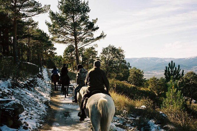 horse-riding-madrid-natural-park-long-trip