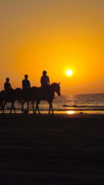 Horse Riding Muscat | Beach Horse Riding - Key Points