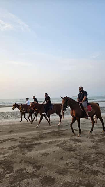 Horse Riding Muscat | Beach Horse Riding - Final Thoughts: Is It Worth It?