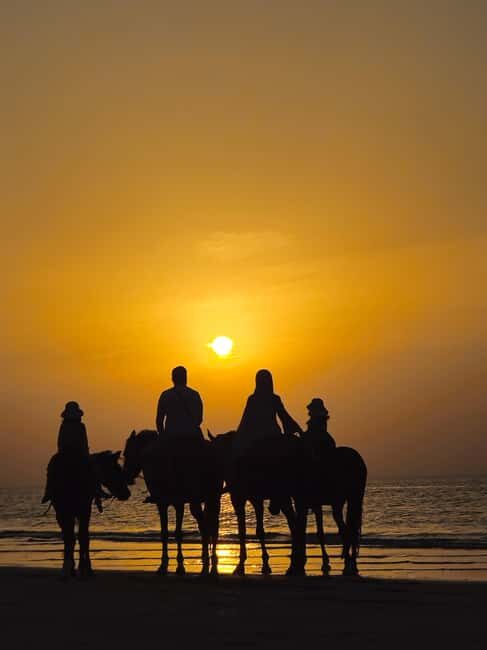 Horse Riding Muscat | Beach Horse Riding - FAQ