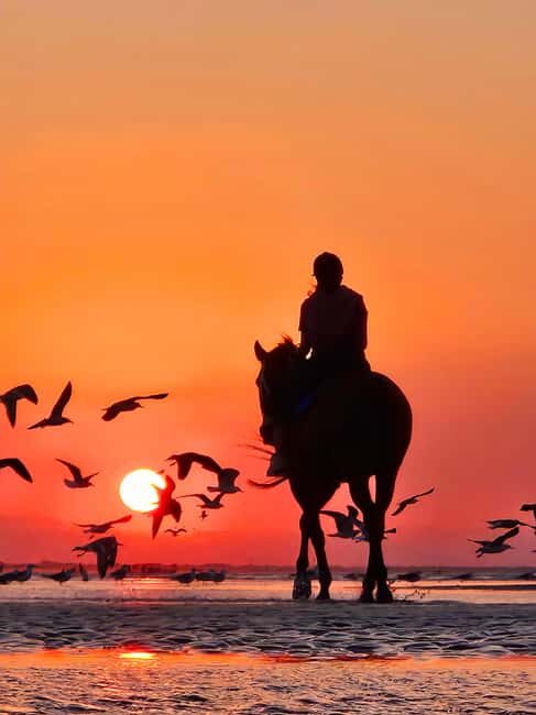 Horse Riding Oman - 2 hour ride - Who Should Consider This Tour?