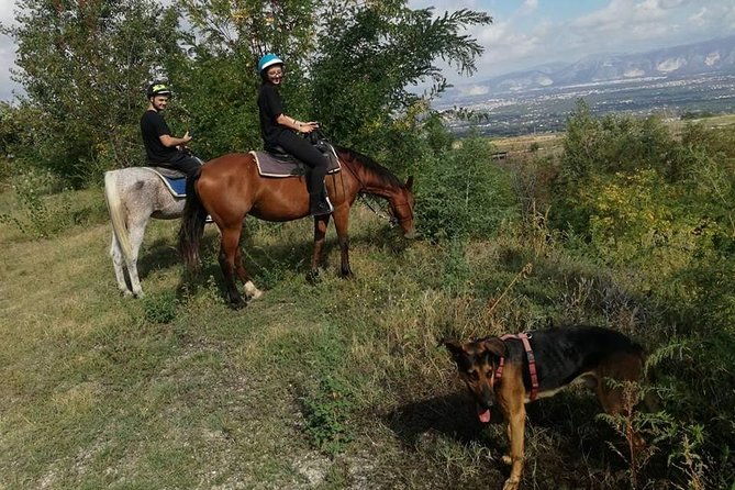 horse-riding-on-mount-vesuvius