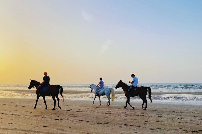 Horse Riding on the beach - Key Points