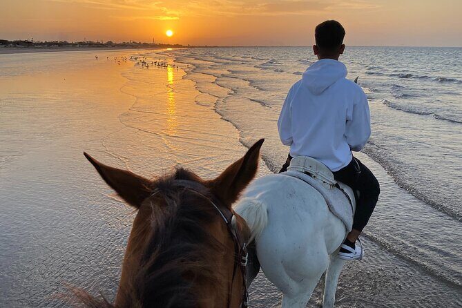 Horse Riding on the beach - FAQ