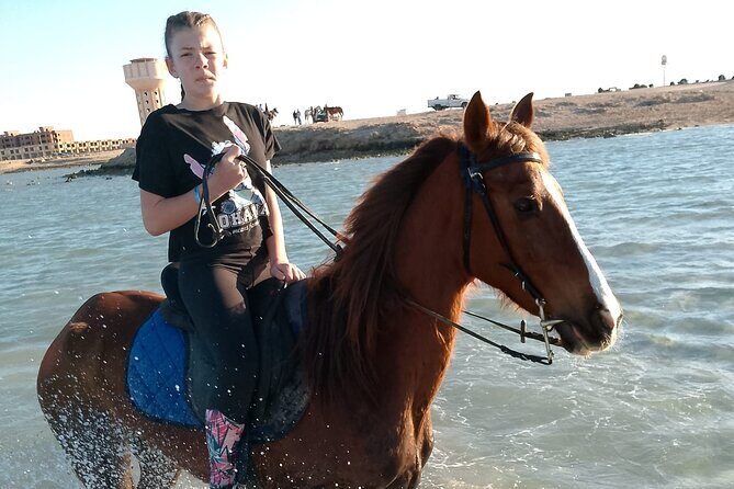 Horse Riding on the Beach And Desert 3 hours From Hurghada - Final Thoughts