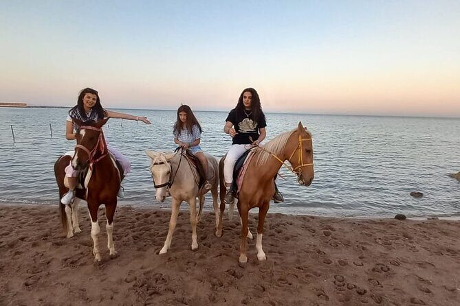 Horse Riding on the Beach And Desert 3 hours From Hurghada - FAQ