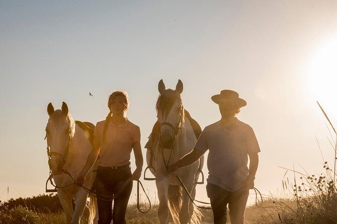 Horse Riding on the Beach - A Closer Look at the Horse Riding Experience