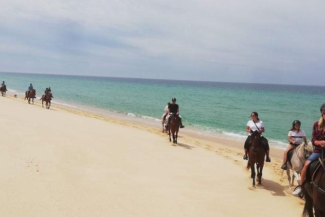 horse-riding-on-the-beach-tour