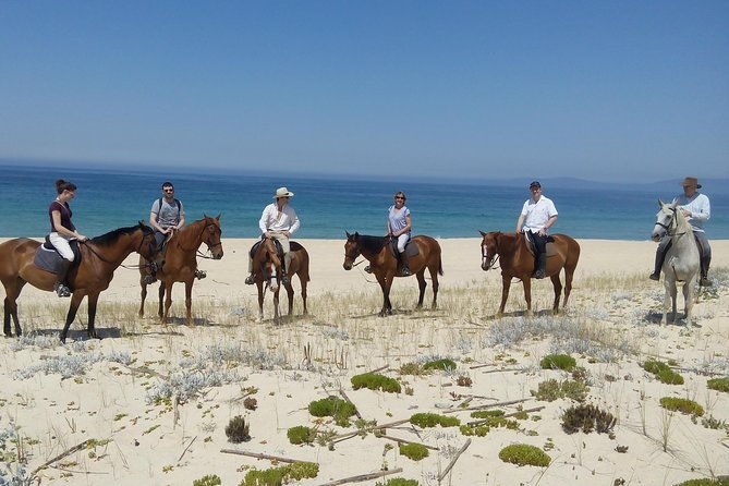 horse-riding-on-the-beach-tour