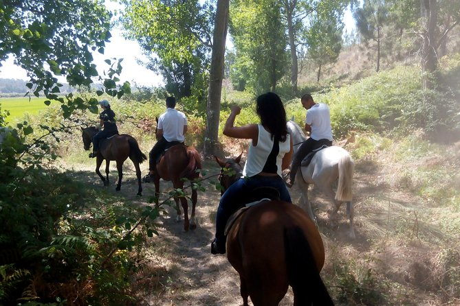 horse-riding-on-the-beach-tour