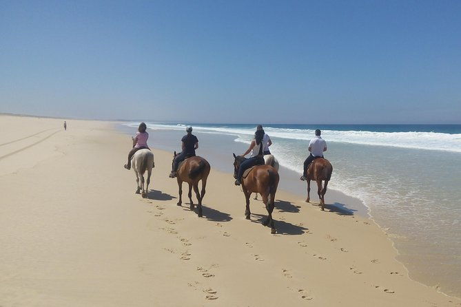 horse-riding-on-the-beach-tour