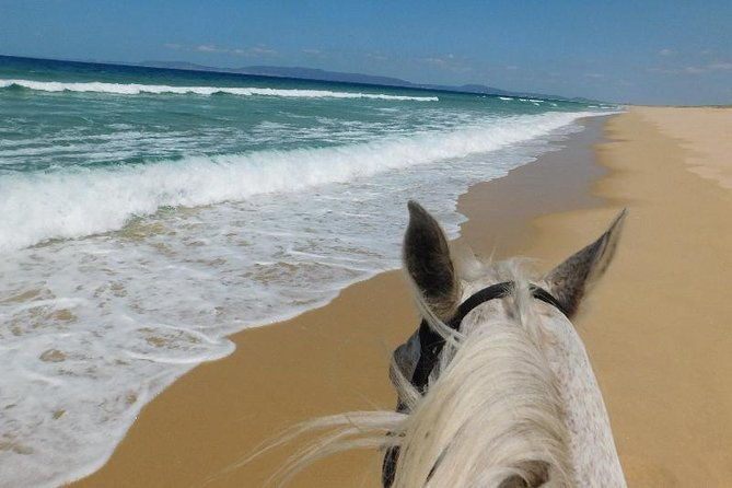 horse-riding-on-the-beach-tour