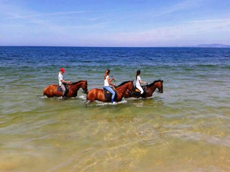 horse-riding-on-the-beach-with-private-transfer-from-lisbon-2