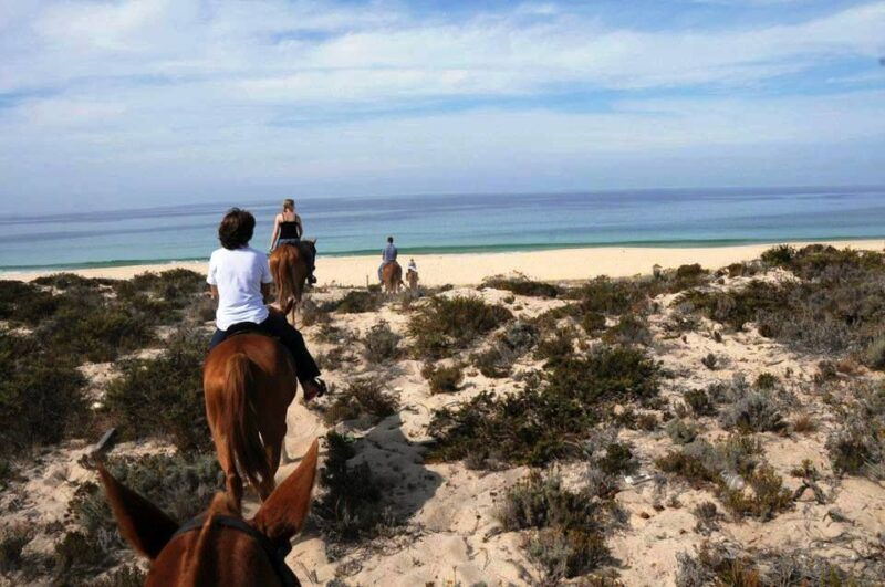 horse-riding-on-the-beach-with-private-transfer-from-lisbon-2