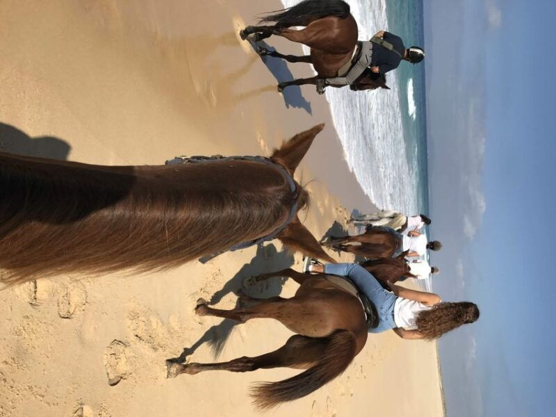 horse-riding-on-the-beach-with-private-transfer-from-lisbon-2