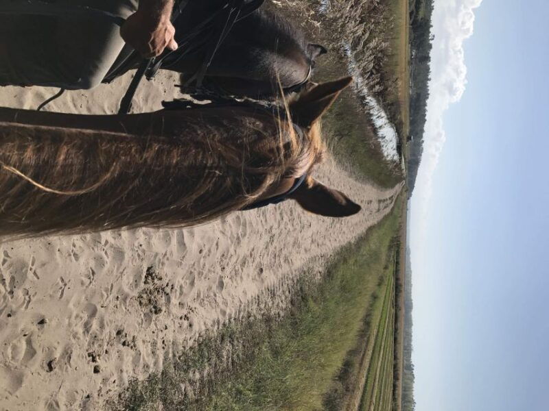 horse-riding-on-the-beach-with-private-transfer-from-lisbon-2