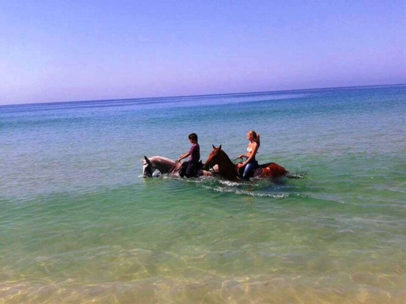horse-riding-on-the-beach-with-private-transfer-from-lisbon-2