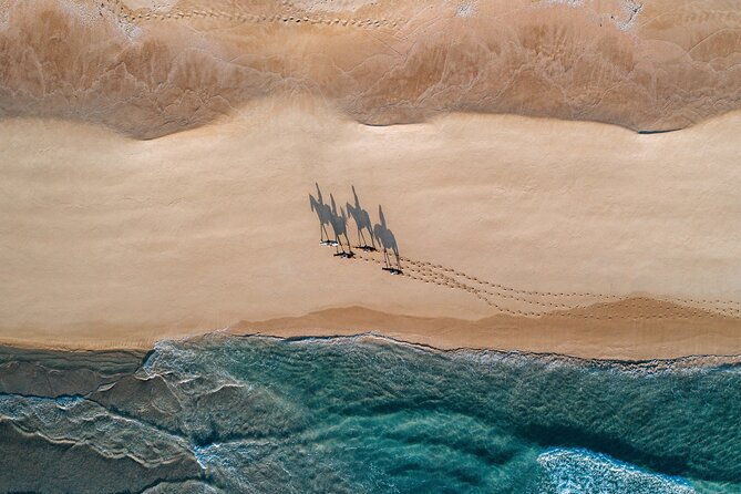 horse-riding-on-the-beach-with-private-transfer-from-lisbon