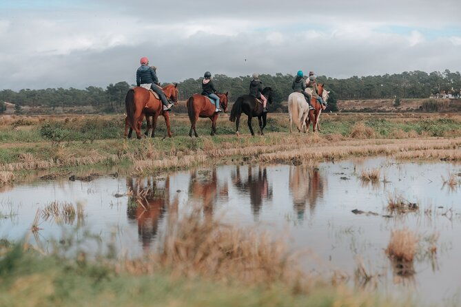 horse-riding-on-the-beach-with-private-transfer-from-lisbon