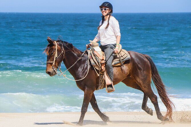 Horse Riding on the beach With Transfer From Sharm El Sheikh - Key Points