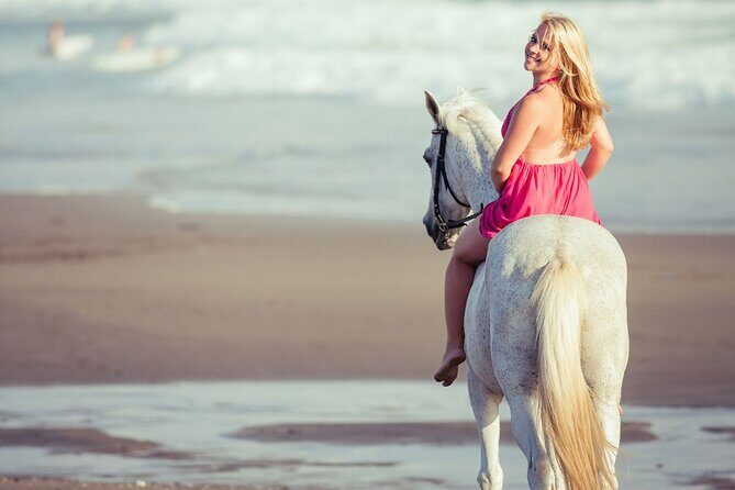 Horse Riding on the beach With Transfer From Sharm El Sheikh - The Value For Money