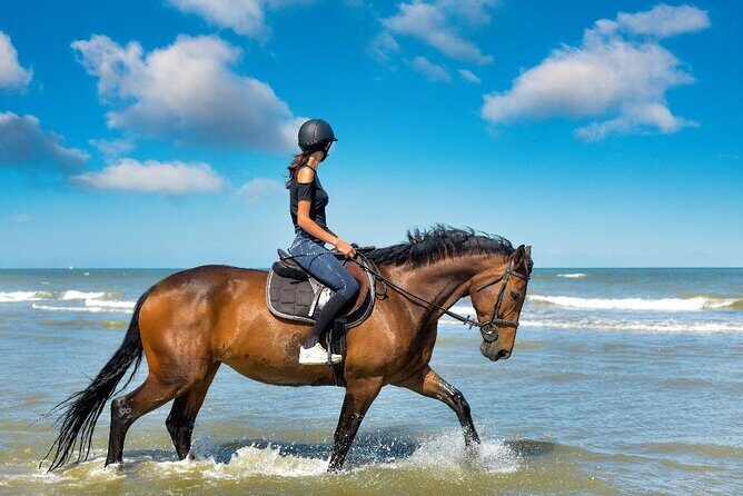 Horse Riding on the beach With Transfer From Sharm El Sheikh - Authentic Experiences and Unique Highlights