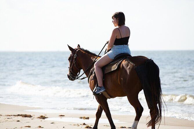 Horse Riding on the beach With Transfer From Sharm El Sheikh - Frequently Asked Questions