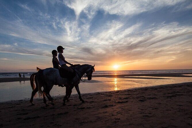 Horse Riding on the Black Sand Beach and Free Hotel Transfers - Horse Riding on the Black Sand Beach and Free Hotel Transfers: A Complete Review
