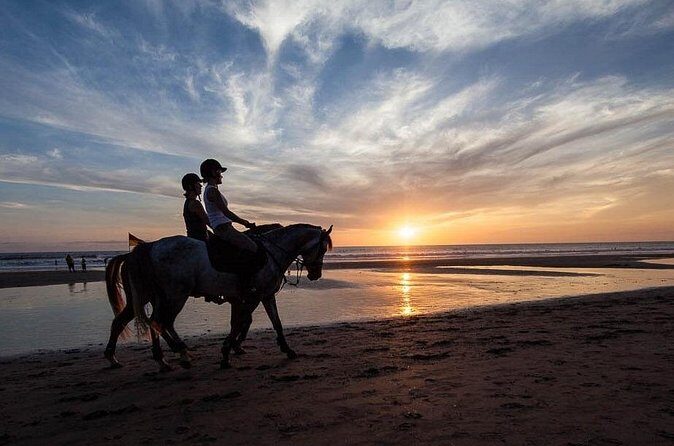 Horse Riding on the Black Sand Beach and Free Hotel Transfers - FAQ
