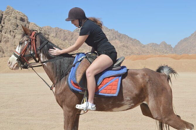 Horse Riding One hour At Amazing Desert With Transfer - Hurghada - Key Points