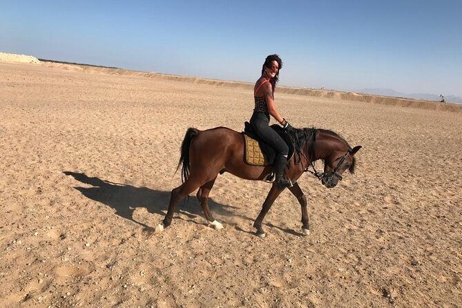 Horse Riding One hour At Amazing Desert With Transfer - Hurghada - The Overall Experience