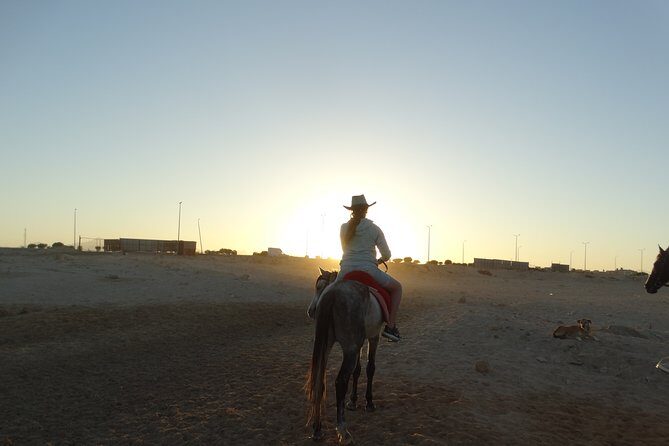 Horse Riding One hour At Amazing Desert With Transfer - Hurghada - Who Should Consider This Tour?